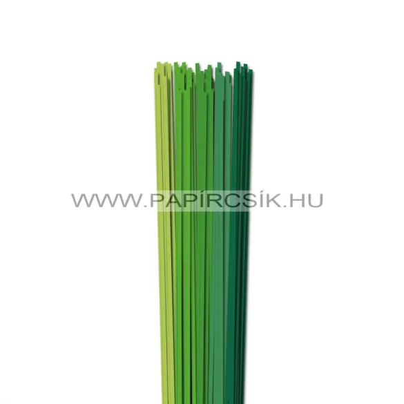 Grün Farbton, 3mm Quilling Papierstreifen (5x20, 49 cm)